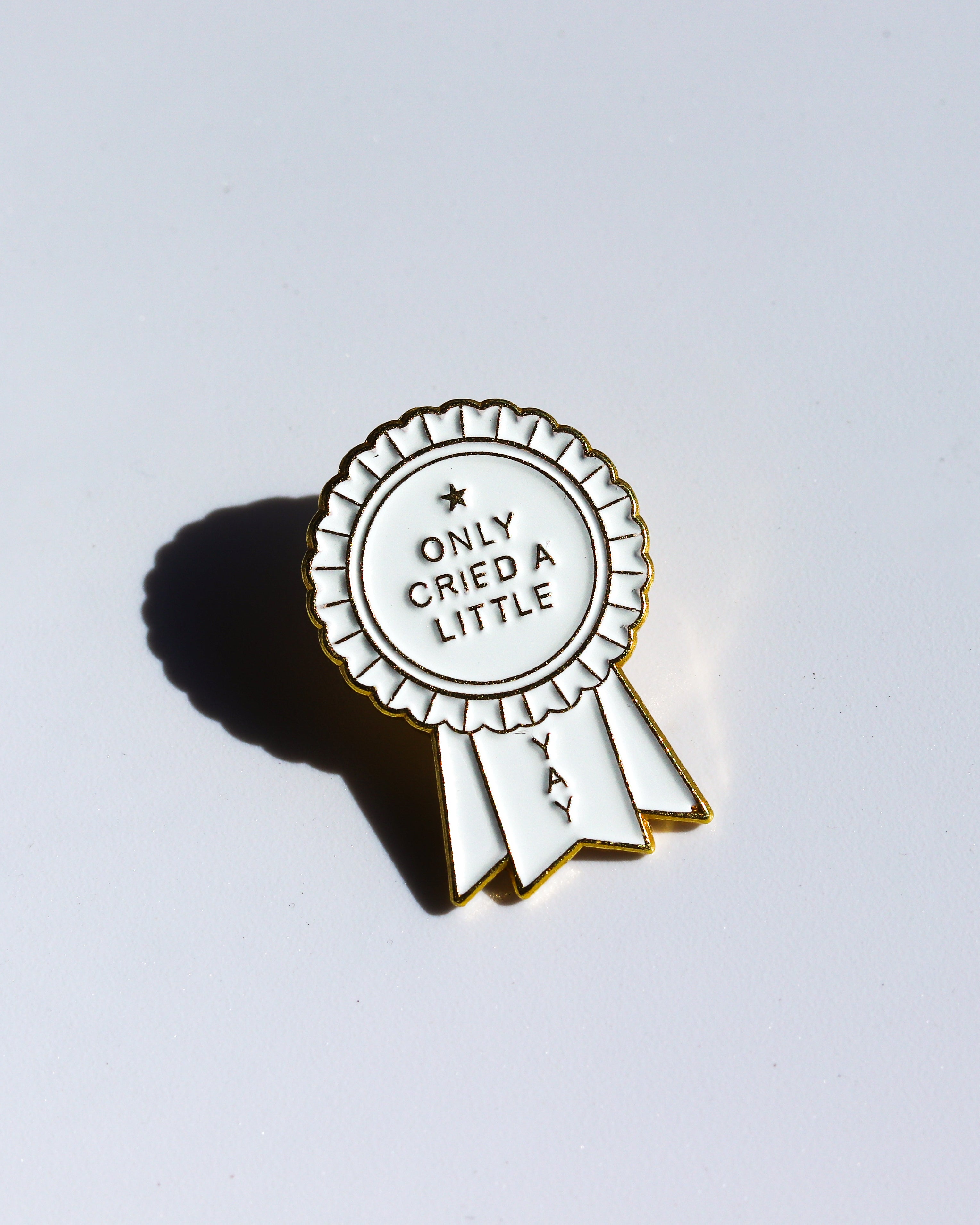 Motivational Pins -Only Cried a Little